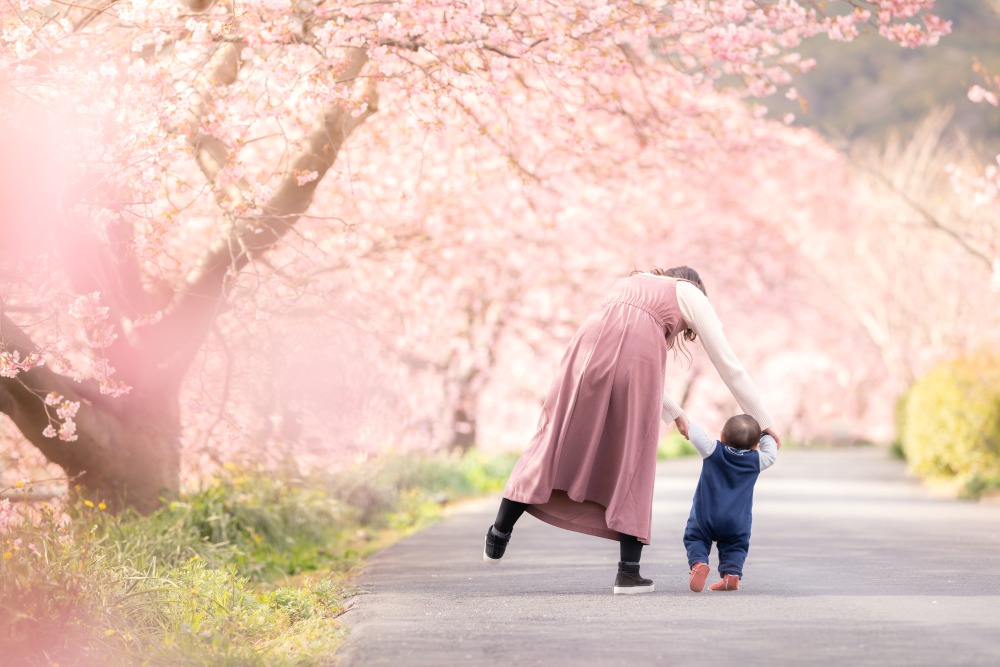 今だから撮れる!「桜」の映える写真の撮り方5選のアイキャッチ